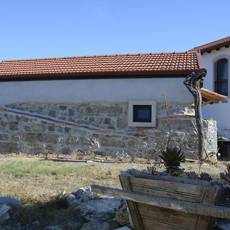 Casa Da Lima - Nestled In Nature On Santiago'S And Fatima'S Path, Close To Coimbra And Rabacal Alvorge Buitenkant foto