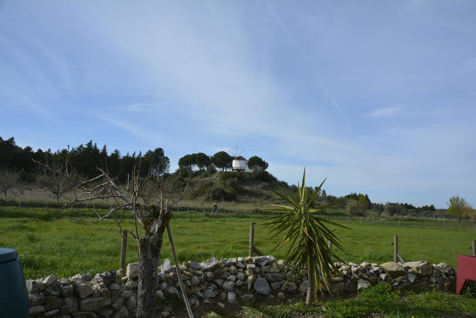 Casa Da Lima - Nestled In Nature On Santiago'S And Fatima'S Path, Close To Coimbra And Rabacal Alvorge Buitenkant foto