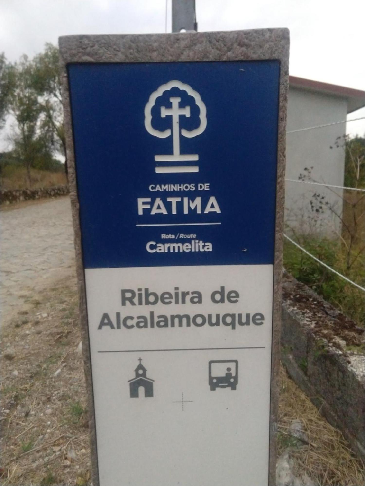 Casa Da Lima - Nestled In Nature On Santiago'S And Fatima'S Path, Close To Coimbra And Rabacal Alvorge Buitenkant foto