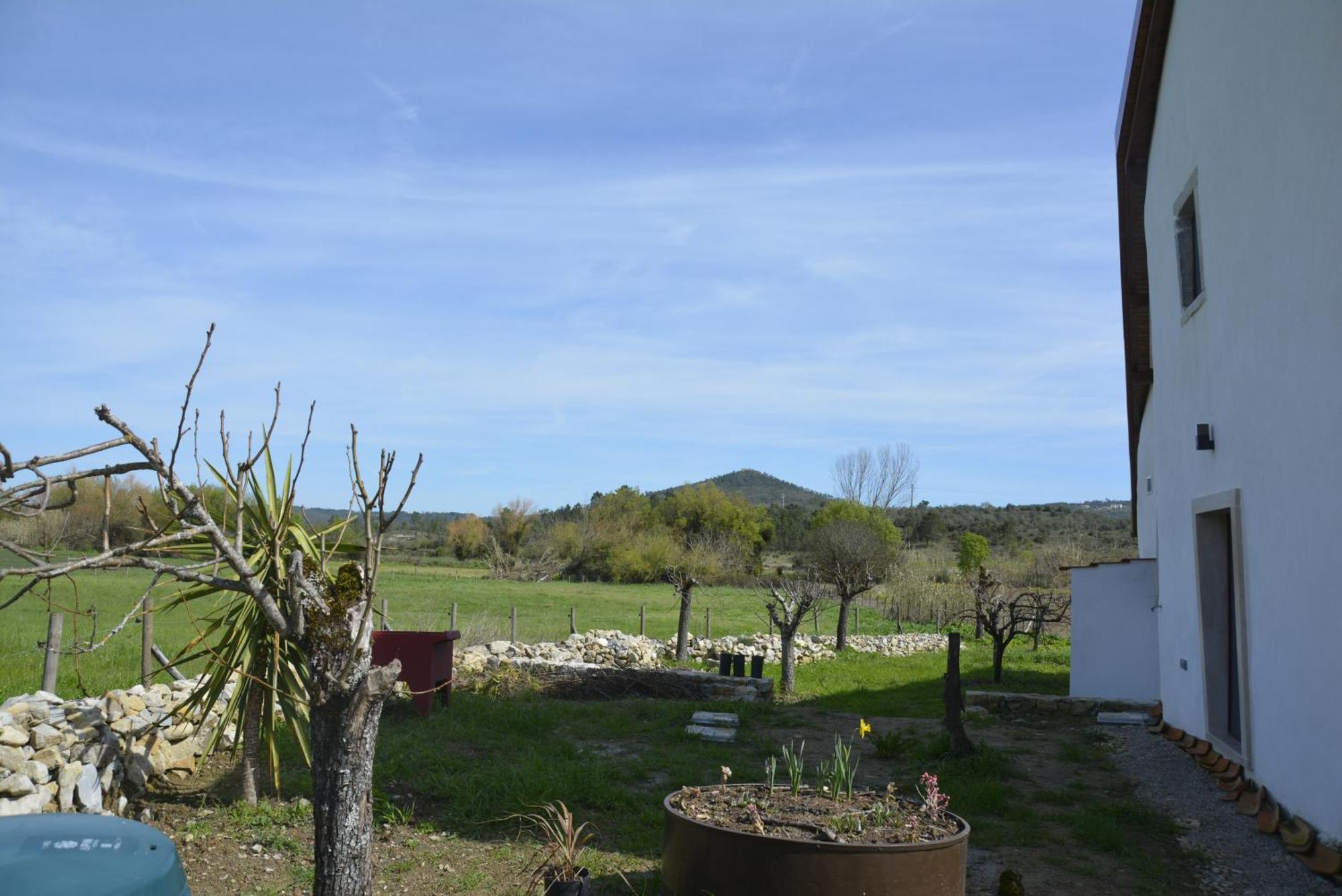 Casa Da Lima - Nestled In Nature On Santiago'S And Fatima'S Path, Close To Coimbra And Rabacal Alvorge Buitenkant foto
