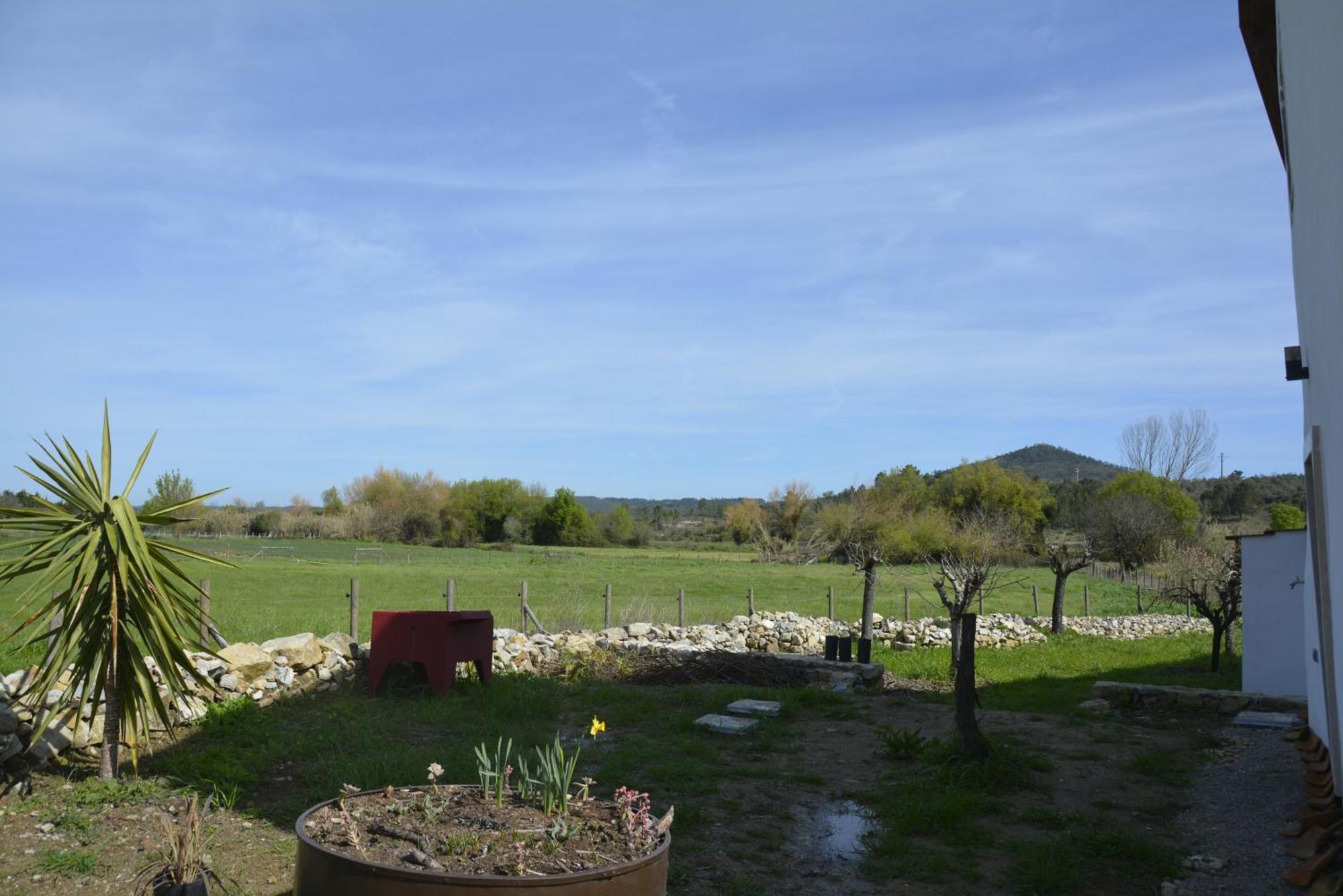 Casa Da Lima - Nestled In Nature On Santiago'S And Fatima'S Path, Close To Coimbra And Rabacal Alvorge Buitenkant foto