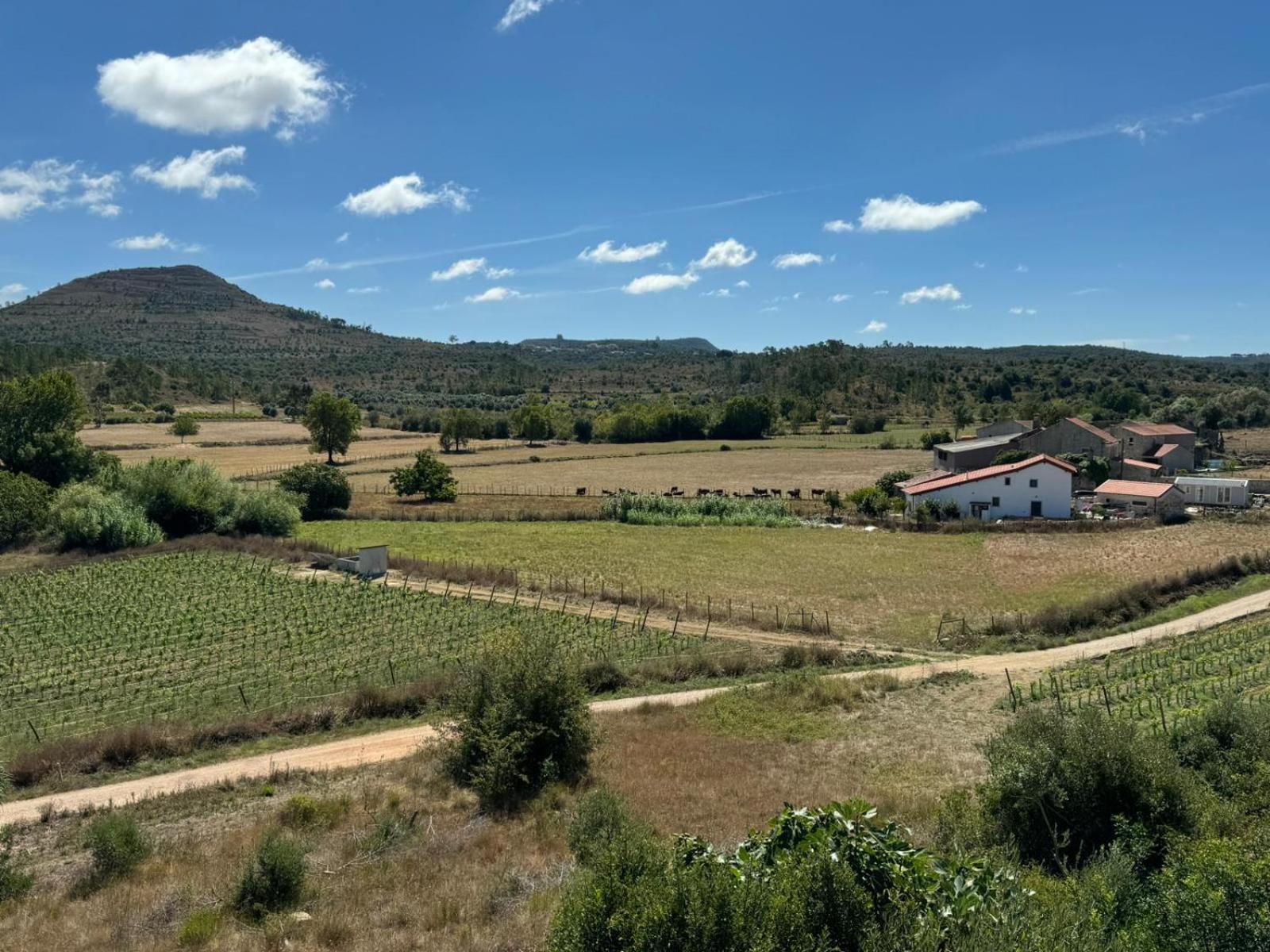 Casa Da Lima - Nestled In Nature On Santiago'S And Fatima'S Path, Close To Coimbra And Rabacal Alvorge Buitenkant foto