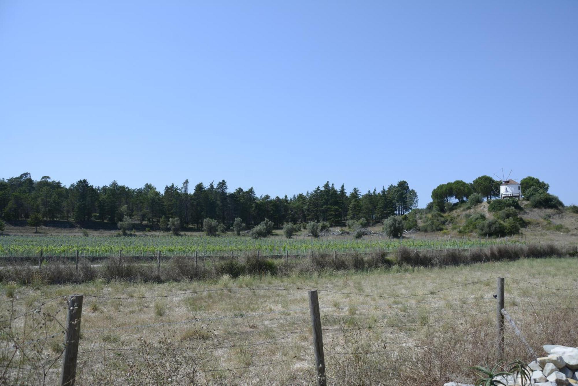 Casa Da Lima - Nestled In Nature On Santiago'S And Fatima'S Path, Close To Coimbra And Rabacal Alvorge Buitenkant foto