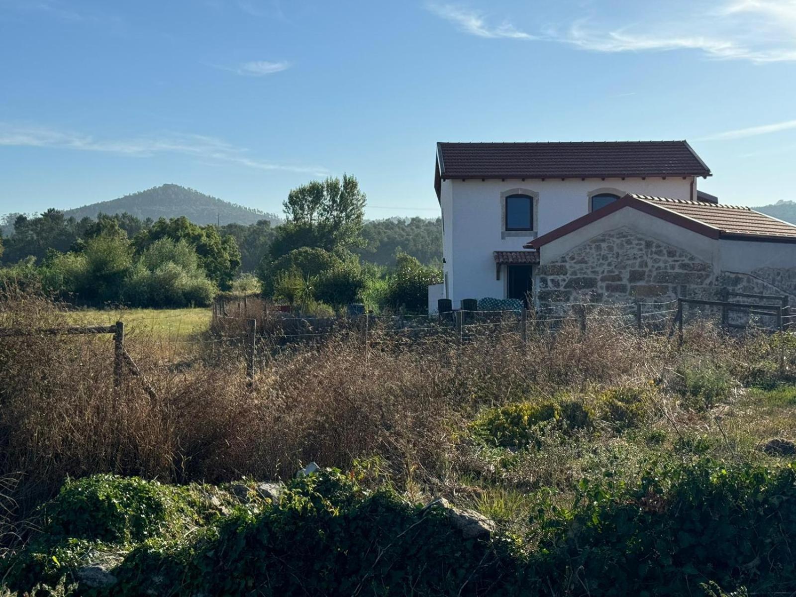 Casa Da Lima - Nestled In Nature On Santiago'S And Fatima'S Path, Close To Coimbra And Rabacal Alvorge Buitenkant foto
