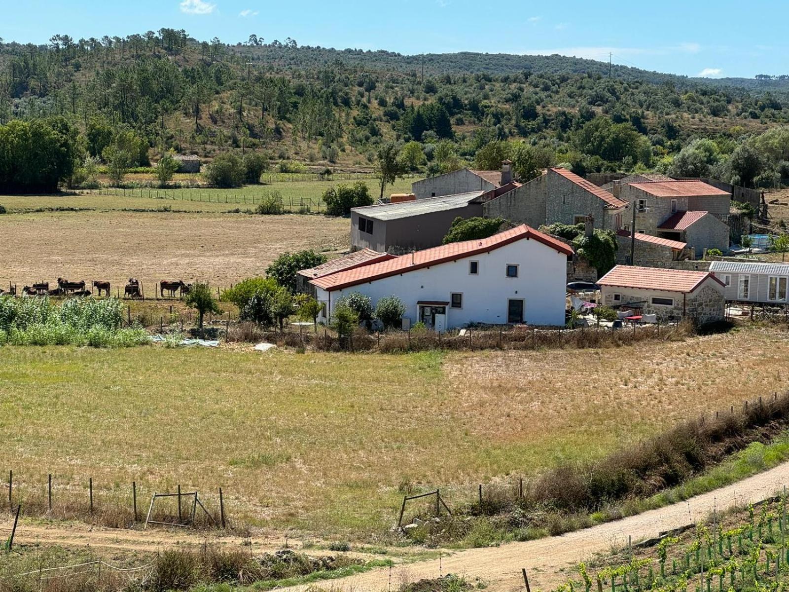 Casa Da Lima - Nestled In Nature On Santiago'S And Fatima'S Path, Close To Coimbra And Rabacal Alvorge Buitenkant foto