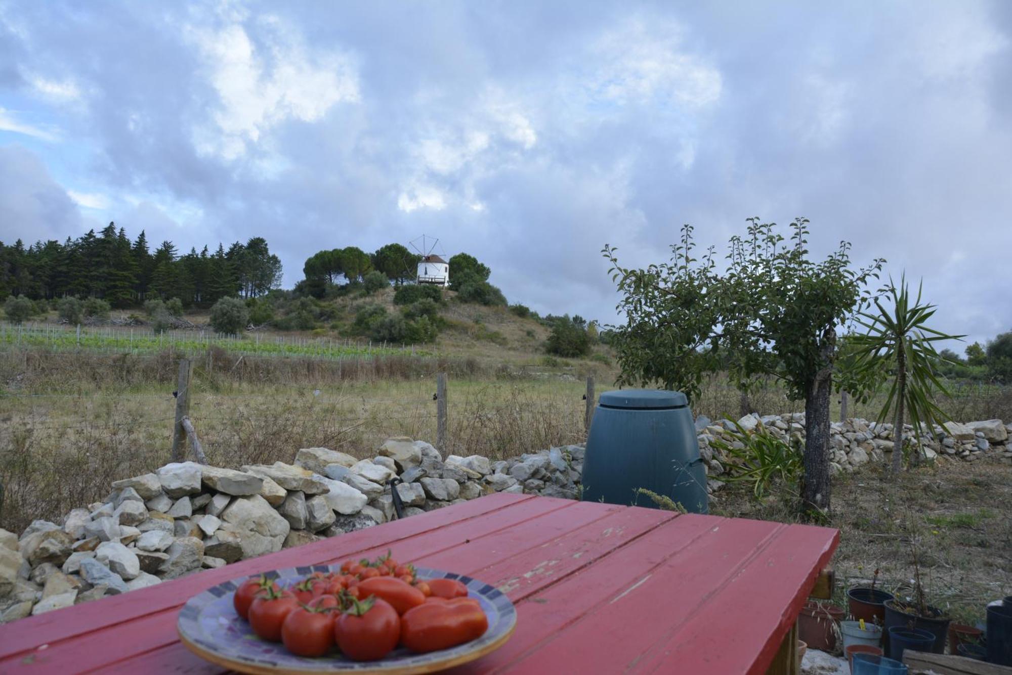 Casa Da Lima - Nestled In Nature On Santiago'S And Fatima'S Path, Close To Coimbra And Rabacal Alvorge Buitenkant foto