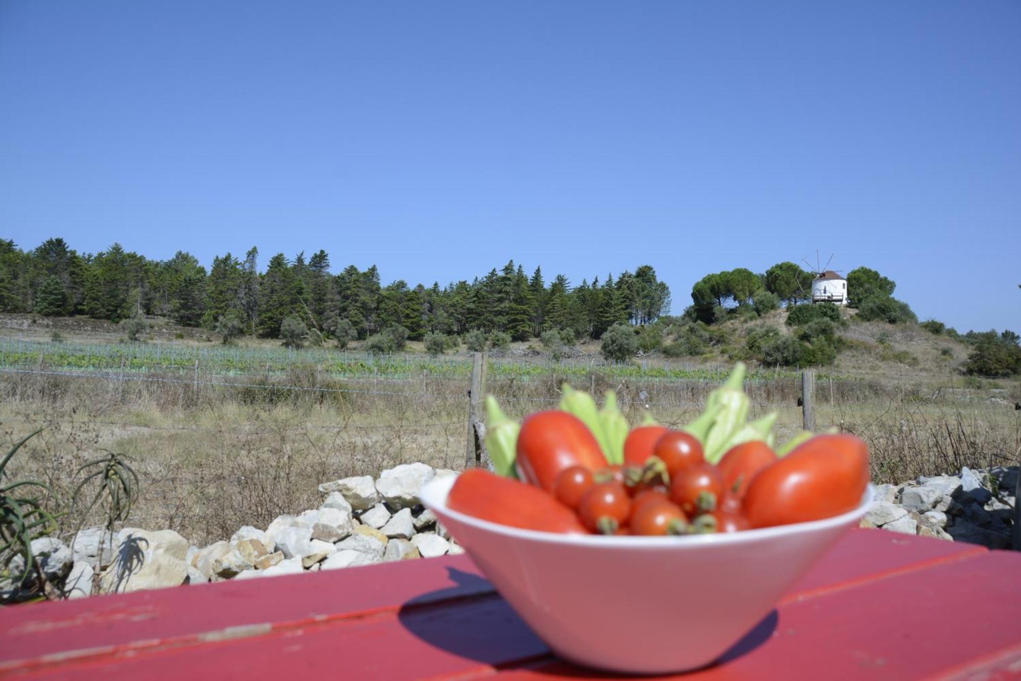 Casa Da Lima - Nestled In Nature On Santiago'S And Fatima'S Path, Close To Coimbra And Rabacal Alvorge Buitenkant foto