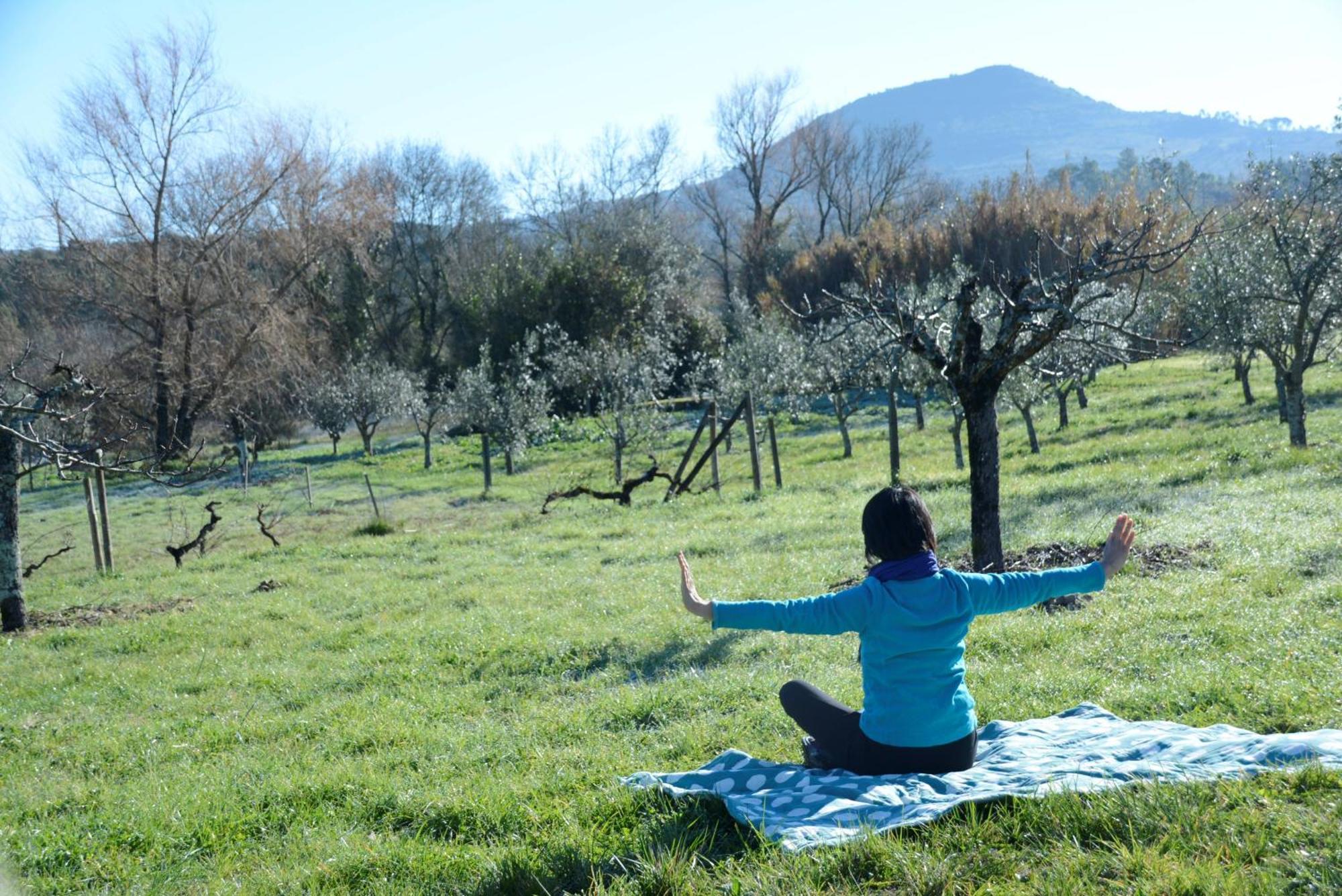 Casa Da Lima - Nestled In Nature On Santiago'S And Fatima'S Path, Close To Coimbra And Rabacal Alvorge Buitenkant foto