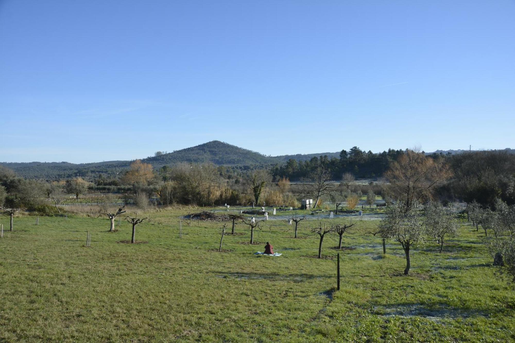 Casa Da Lima - Nestled In Nature On Santiago'S And Fatima'S Path, Close To Coimbra And Rabacal Alvorge Buitenkant foto